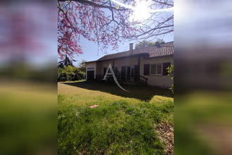 location maison levignac 31530