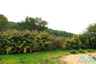 location maison lorgues 83510