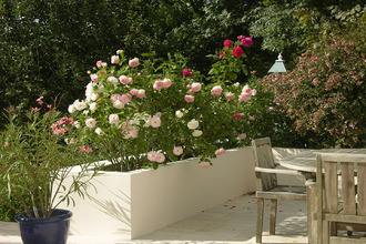 location maison louveciennes 78430
