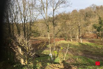 location maison lozanne 69380