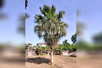 location maison matoury 97351