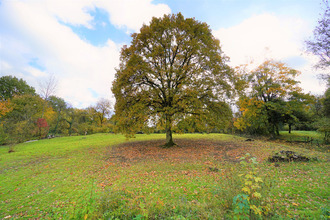 location maison metz 57050