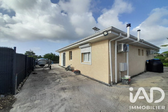 location maison moule 97160