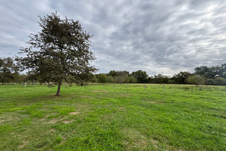 location maison mt-de-marsan 40000