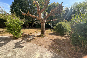 location maison mtauban 82000