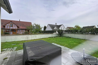 location maison mussig 67600