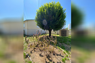 location maison niort 79000