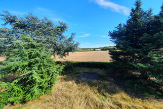 location maison oizon 18700