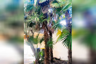 location maison perigny 17180