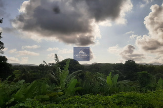 location maison petit-bg 97170