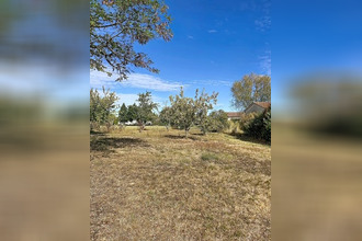 location maison peyrole 81310