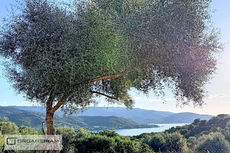 location maison pietrosella 20166