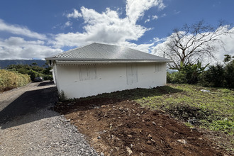 location maison plaine-des-palmistes 97431