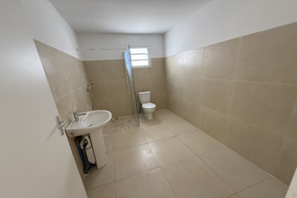 location maison plaine-des-palmistes 97431