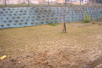 location maison ramonville-st-agne 31520