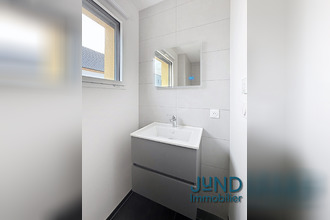 location maison sessenheim 67770