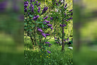 location maison st-antonin-noble-val 82140