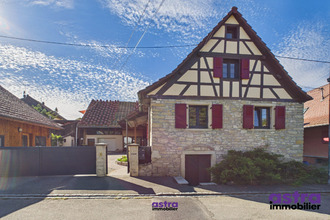 location maison steinbrunn-le-bas 68440