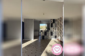 location maison sully-sur-loire 45600