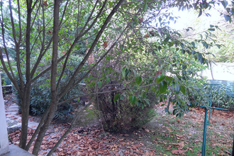 location maison vaison-la-romaine 84110