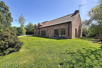 location maison willems 59780