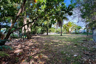 location terrain st-francois 97118
