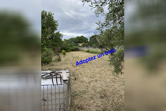 location terrain toulouges 66350