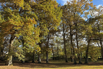  maison alencon 61000