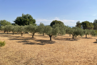  maison alleins 13980