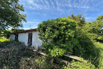  maison allez-et-cazeneuve 47110