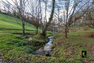  maison ambierle 42820