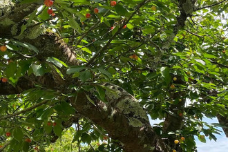  maison argagnon 64300