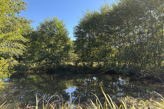  maison arinthod 39240