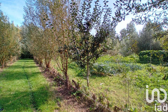  maison auxi-le-chateau 62390