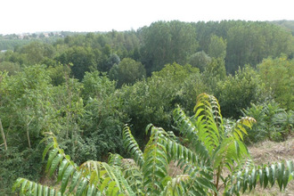  maison availles-thouarsais 79600