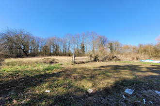  maison avesnelles 59440