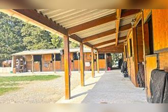  maison avignon 84000