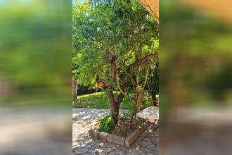  maison avignon 84000