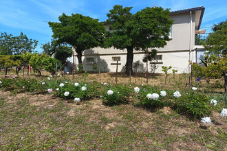  maison avignonet-lauragais 31290