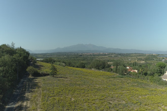  maison banyuls-dels-aspres 66300