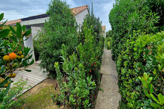  maison belgodere 20226