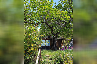  maison belvedere 06450
