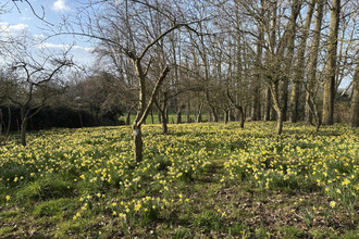  maison bethencourt-sur-mer 80130