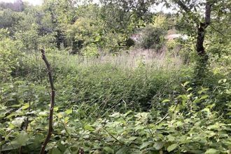  maison bierry-les-belles-fontaines 89420