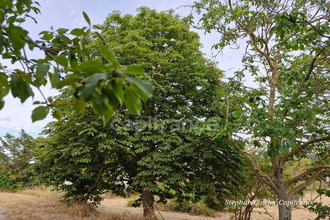  maison bouc-bel-air 13320