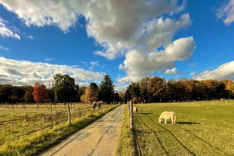  maison bourdonne 78113