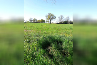  maison bournezeau 85480