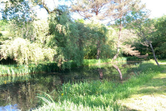  maison bouzy-la-foret 45460