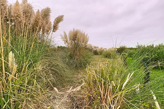  maison brignogan-plage 29890