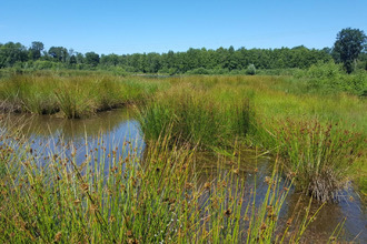  maison brinon-sur-sauldre 18410